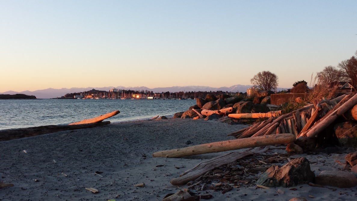 Willows Beach towards the Oak Bay Marina GEOG 2221 Photo Collection